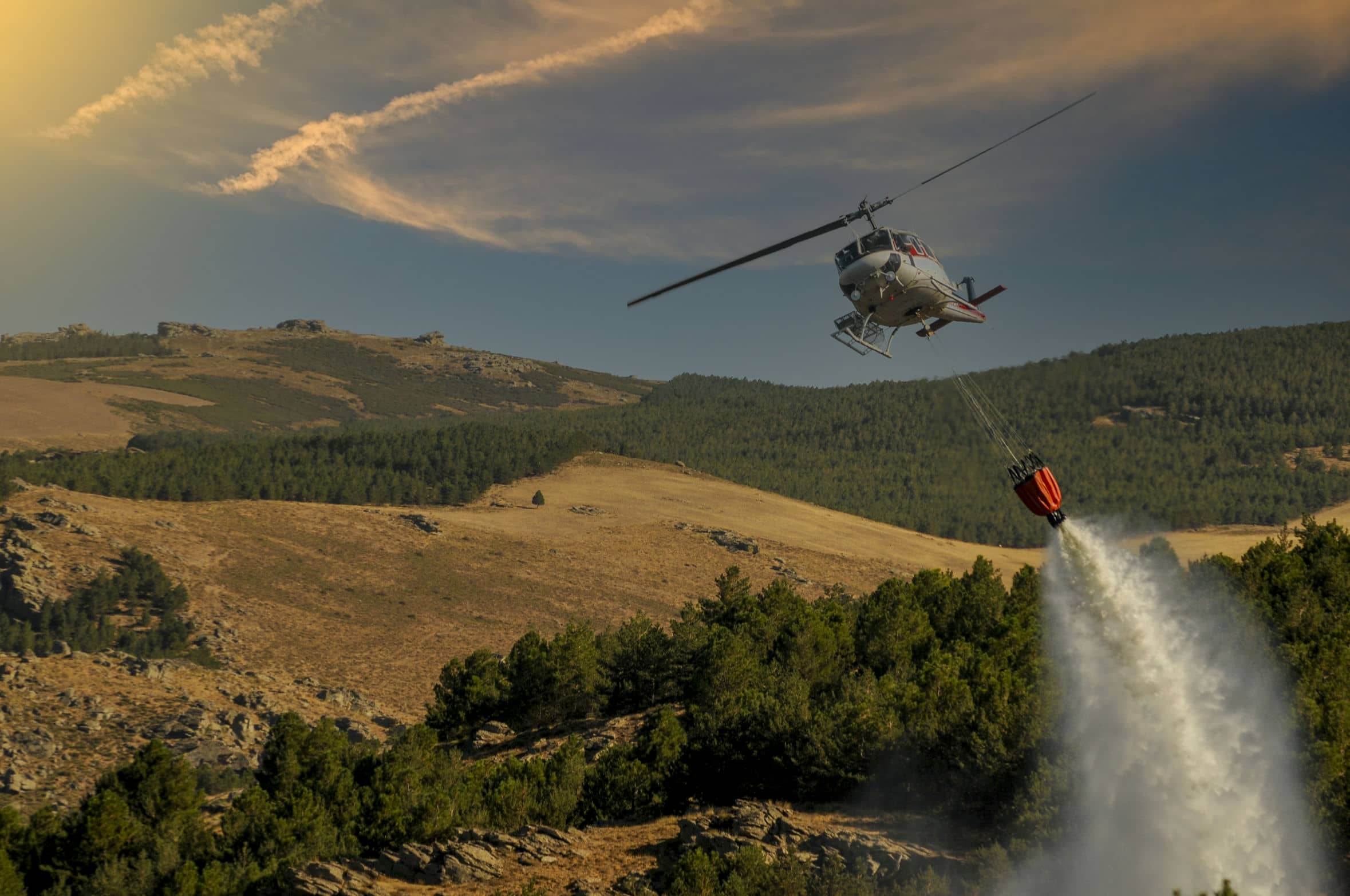 Wildland Firefighting Solutions and Forestry Equipment from ANSUL